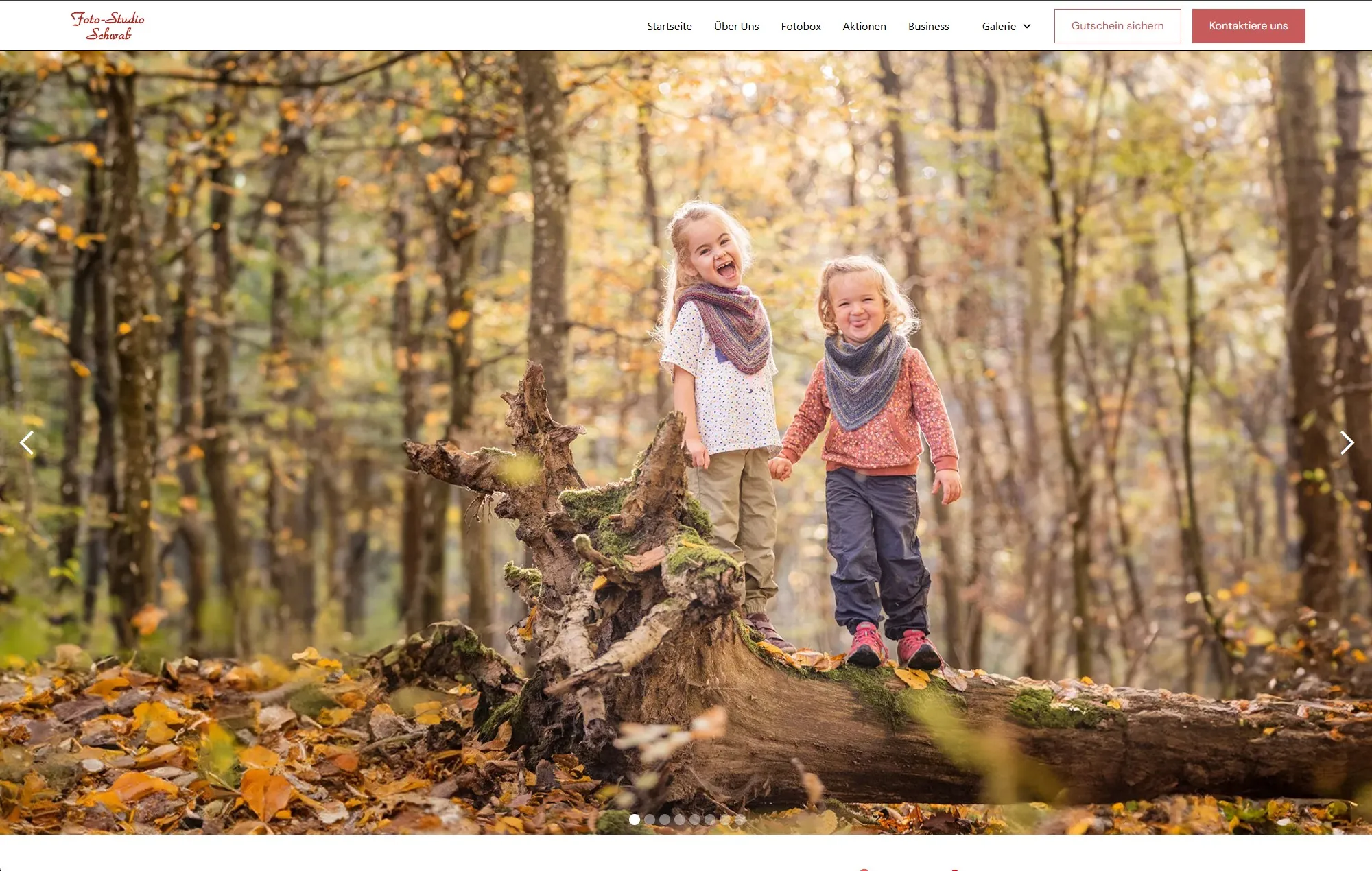 Project visualization