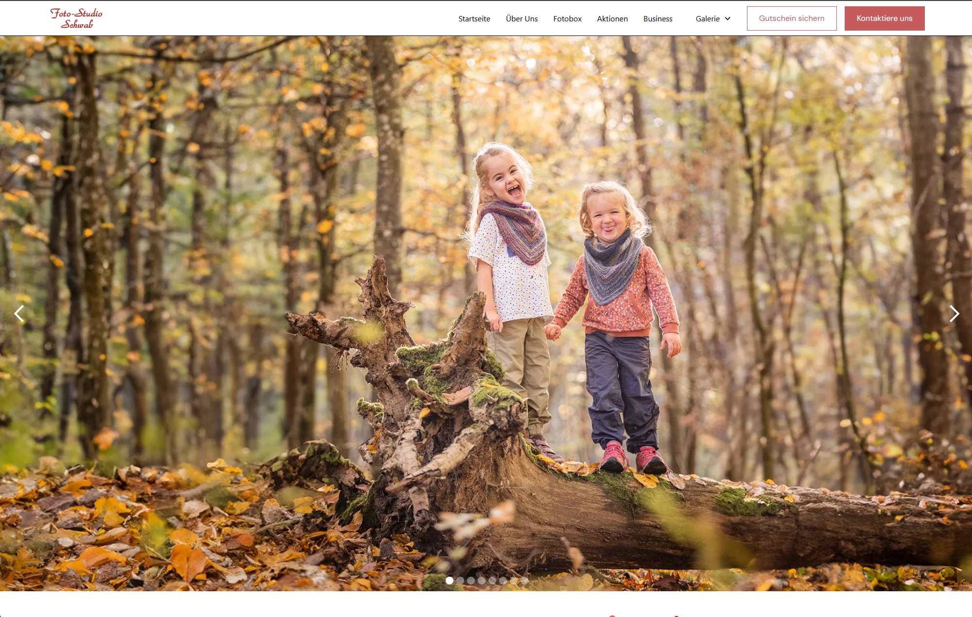 Foto-Studio Schwab hero